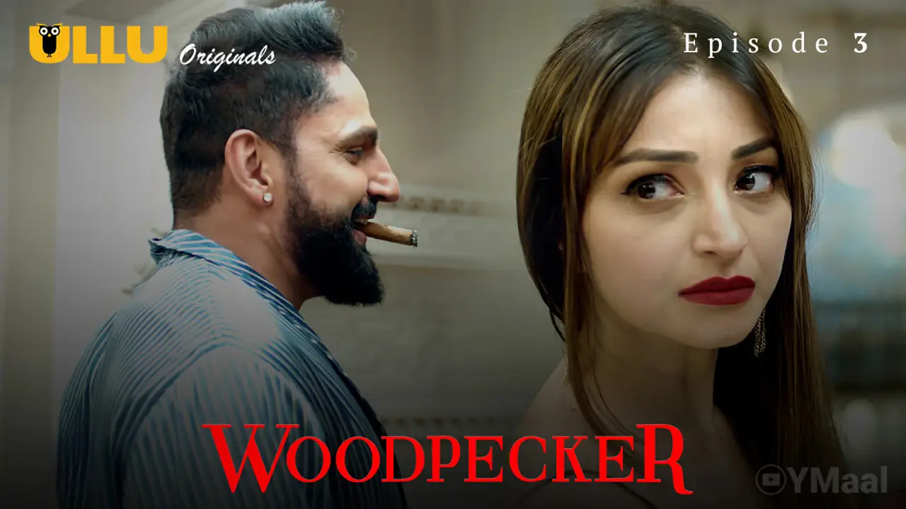 Woodpecker Episode 3 poster
