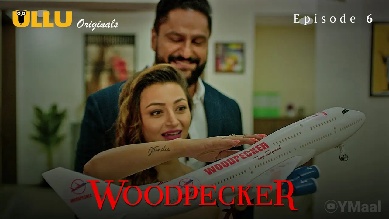 Woodpecker Episode 6 poster