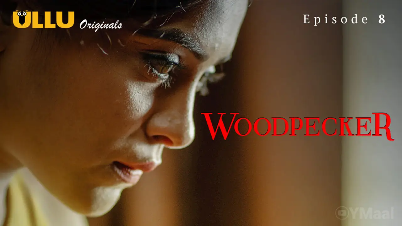 Woodpecker Episode 8 poster